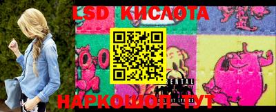 шишки Братск