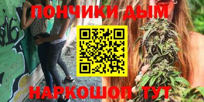 шишки Братск