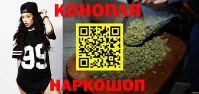 гидропоника Брянск